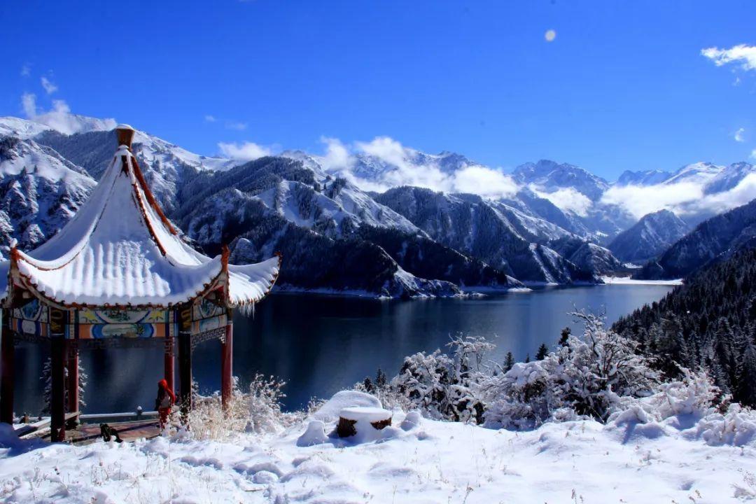 猪场怼怼乐
